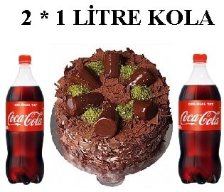 Muzlu Çikolatalı Pasta ve Çift Cola Avantaj Paketi Siirt pasta